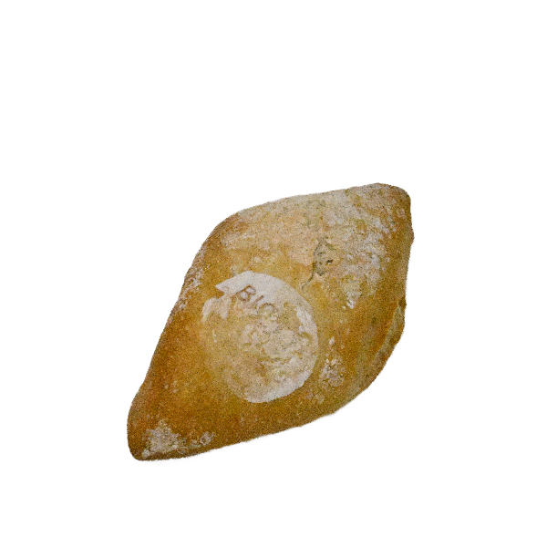 Bio Ruitbroodje Wit